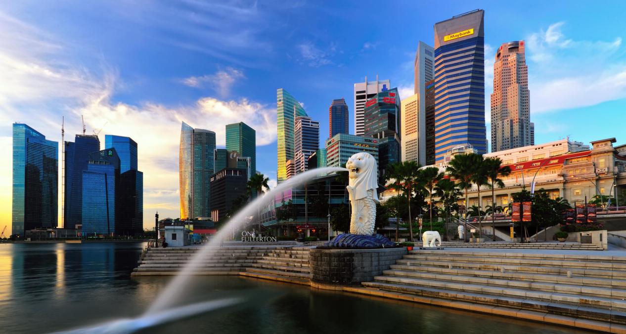 说明: 要实现全球一体化战略，新加坡必须继续推行自由贸易协定和数字经济协定。