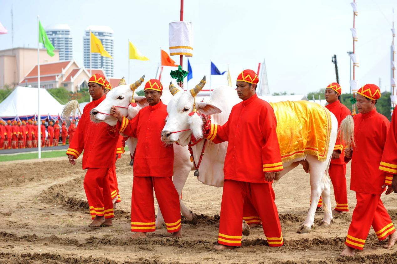 说明: 泰国首都曼谷，王室成员参加御耕节活动（图源：新华社，摄影：拉亨）