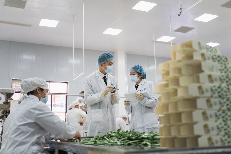 广西贺州海关关员到辖区出口茶企调研茶叶生产工艺流程