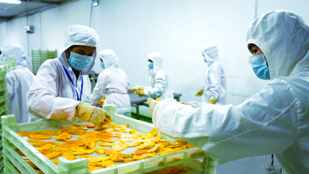 1.东盟食品深加工产业加快升级为中国食包企业“登陆”东盟创造了市场机遇（图源：新华社）