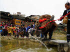 Spring Cattle Dance: Brimming With Strong Folk Culture Flavor